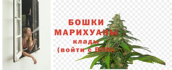 гидра Алексеевка