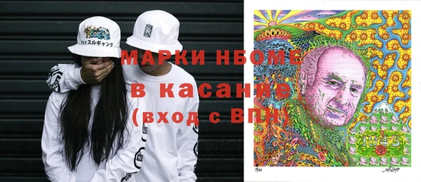 стафф Алексин