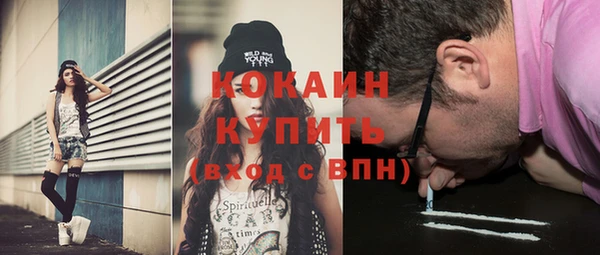 стафф Алексин